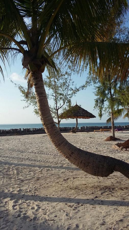 Emma Bay Beach House Michamvi Kae ภายนอก รูปภาพ