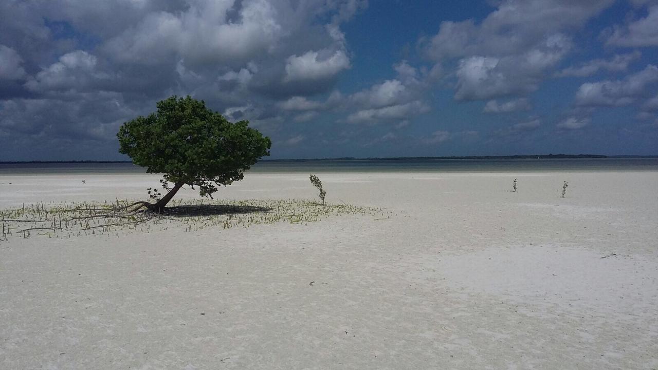 Emma Bay Beach House Michamvi Kae ภายนอก รูปภาพ