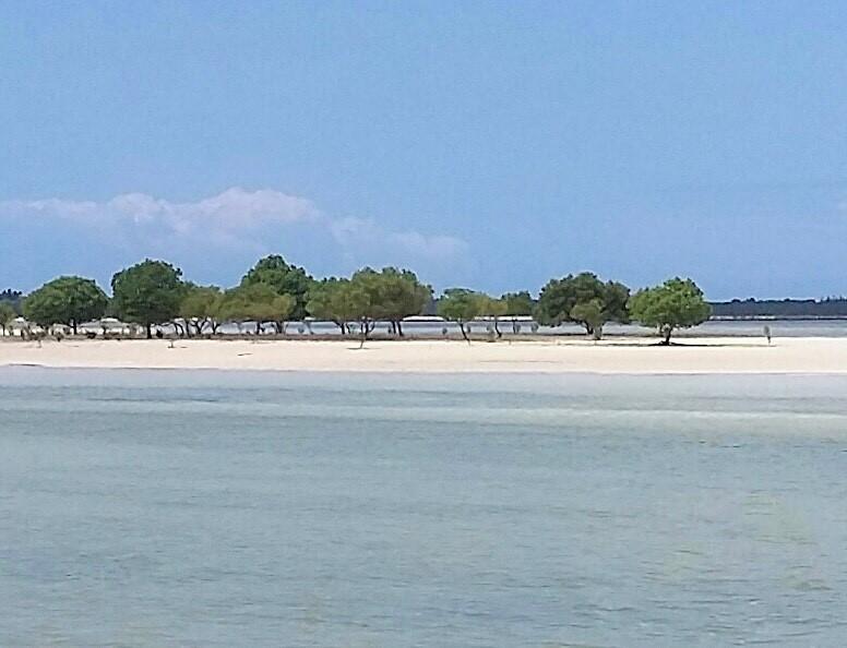 Emma Bay Beach House Michamvi Kae ภายนอก รูปภาพ